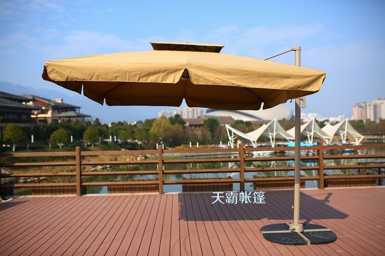 羅馬傘受歡迎有哪些因素？